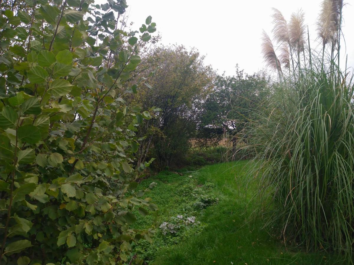 Gite De La Basse Roche Souge  Zewnętrze zdjęcie